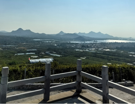 平度大澤山葡萄園引進亚洲蜜桃在线网站色欲AV蜜桃蜜臀一区二区三区肥料檢測儀， 輕鬆掌握色欲AV蜜桃蜜臀一区二区三区營養